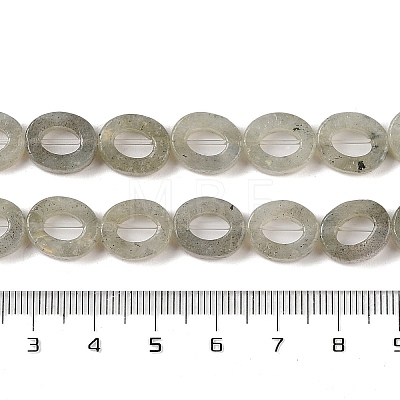 Natural Labradorite Beads Strands G-M439-A05-01-1