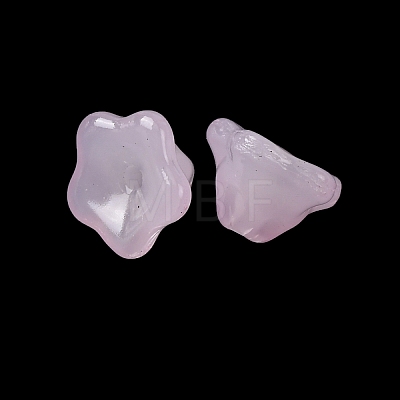 Baking Paint Transparent Glass Beads GLAA-T025-81C-05-1