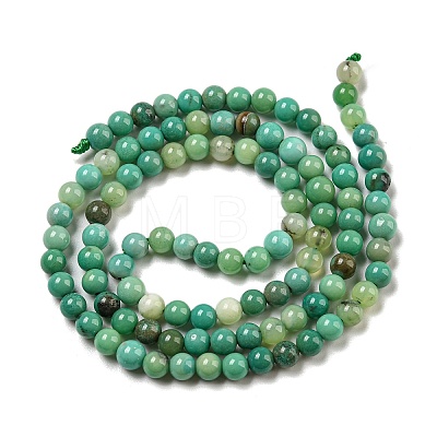 Natural Green Grass Agate Beads Strands G-NH0001-D03-01-1