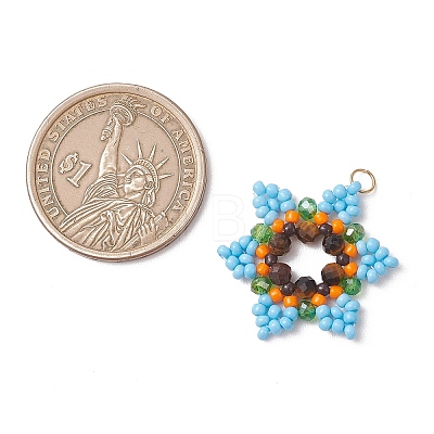 Glass Seed Beaded Pendants PALLOY-MZ01241-1