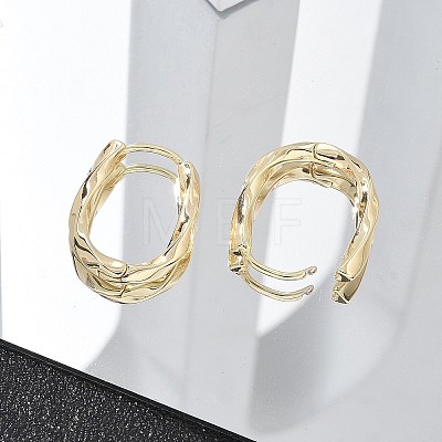 Brass Twist Hoop Earrings EJEW-Q014-02G-1