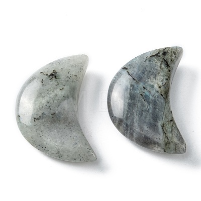 Natural Labradorite Beads G-I312-A05-1