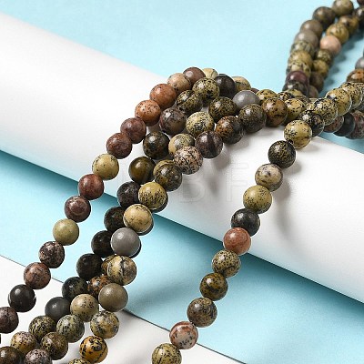 Natural Dendritic Jasper Beads Strands G-D481-16-1