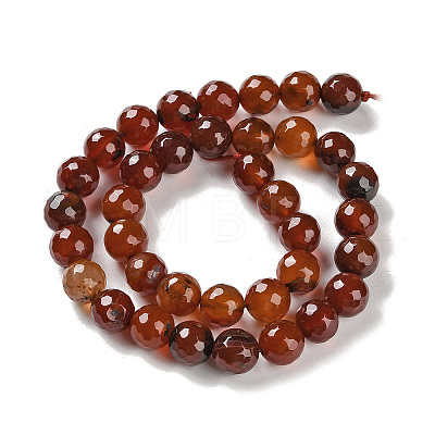 Natural Agate Beads Strands G-M437-B01-01K-1