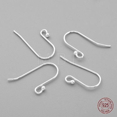 Sterling Silver Earring Hooks STER-G011-05-1