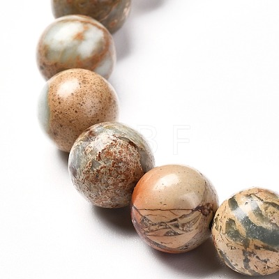 Natural Aqua Terra Jaspe Round Beads Stretch Bracelet for Men Women BJEW-JB06823-03-1