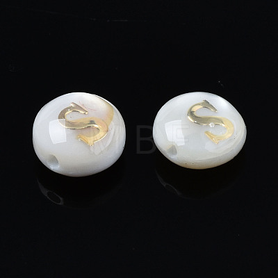 Natural Freshwater Shell Beads SHEL-S278-036S-1