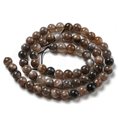 Natural Black Moonstone Beads Strands G-A219-A01-02-1