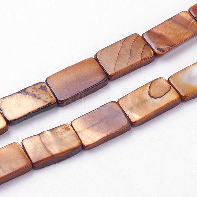 Natural Freshwater Shell Beads Strands BSHE-L036-25-1