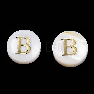 Natural Freshwater Shell Beads SHEL-N036-01B-1