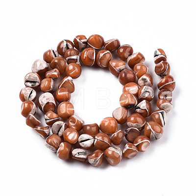 Natural Trochid Shell/Trochus Shell Beads Strands SSHEL-N032-48-A07-1