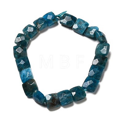 Natural Apatite Beads Strands G-G980-04-1
