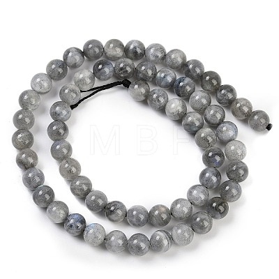 Nature Labradorite Round Bead Strands G-I156-01-6mm-01-1