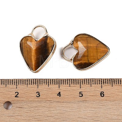 Natural Tiger Eye Faceted Pendans KK-L218-005G-01-1