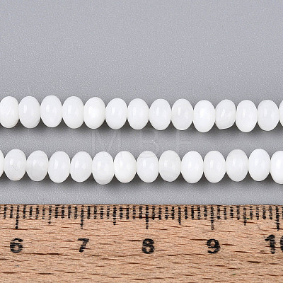 Natural Freshwater Shell Beads Strands SHEL-N038-30-1