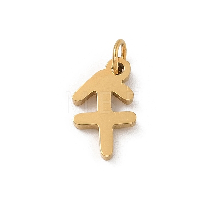 304 Stainless Steel Charms LS-STAS-R001-04G-09-1