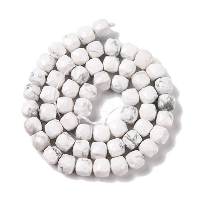 Natural Howlite Beads Strands G-G001-B03-06-1