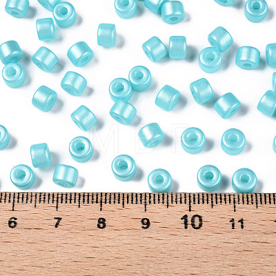 Baking Paint Pearlized Glass Seed Beads SEED-T008-03Q-1