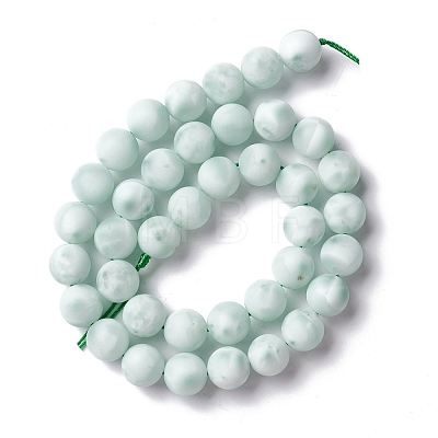 Frosted Natural Glass Beads Strands G-I247-15K-1