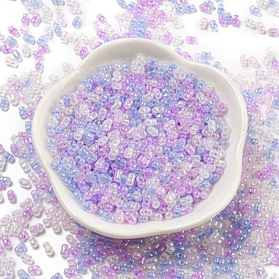 Ceylon Glass Seed Beads SEED-K009-02B-36-1