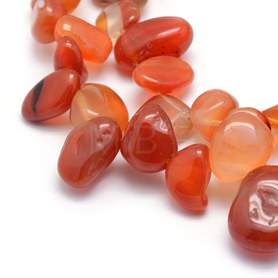 Natural Carnelian Beads Strands G-K220-32B-1