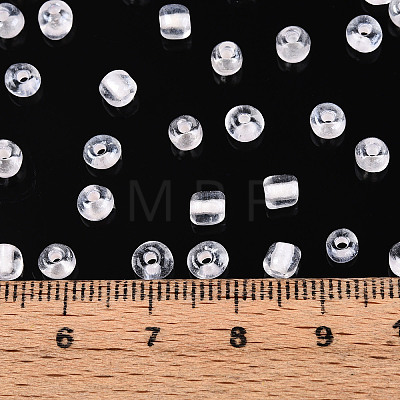 Glass Seed Beads SEED-T007-10D-1