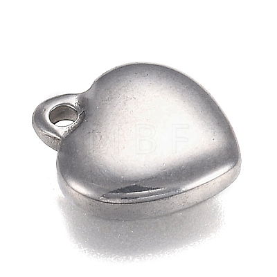 304 Stainless Steel Charms STAS-I166-13B-1