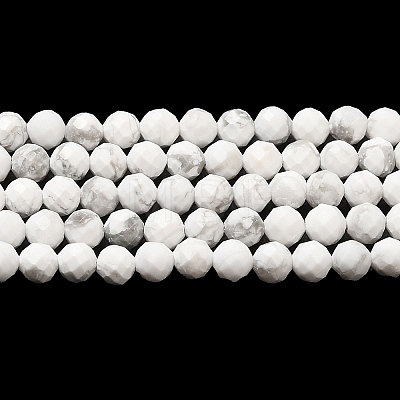 Natural Howlite Beads Strands G-E608-A01-B-1