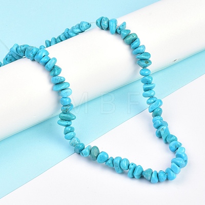 Natural Magnesite Beads Strands TURQ-P001-02A-02-1