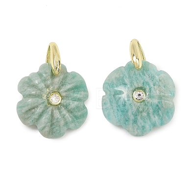 Natural Gemstone Pendants GG-NH0016-01G-1