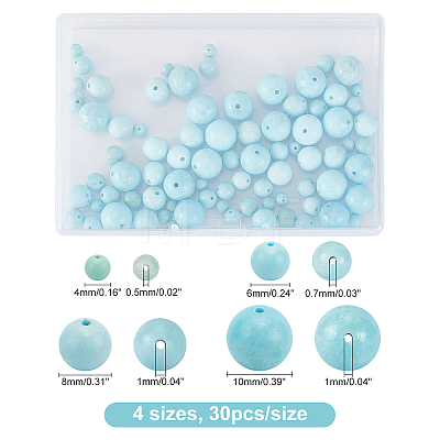 120Pcs 4 Style Natural Howlite Beads G-CA0001-24-1