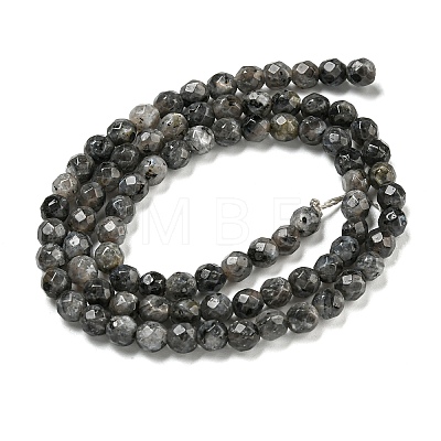 Natural Larvikite Beads Strands G-E571-A09-04-1