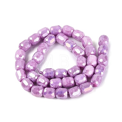 Anti-Tarnish Electroplate Glass Beads Strands EGLA-N027-03A-11-1