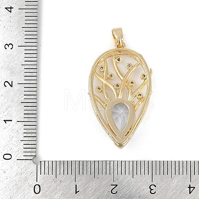 Brass Glass Pendants RGLA-M002-02G-1