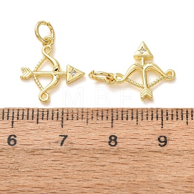 Brass Micro Pave Clear Cubic Zirconia Charms LS-CU-E003-14G-C-1