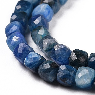 Natural Kyanite/Cyanite/Disthene Beads Strands G-C009-B03-1