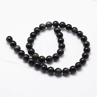 Natural Obsidian Beads Strands G-D838-10mm-04-1