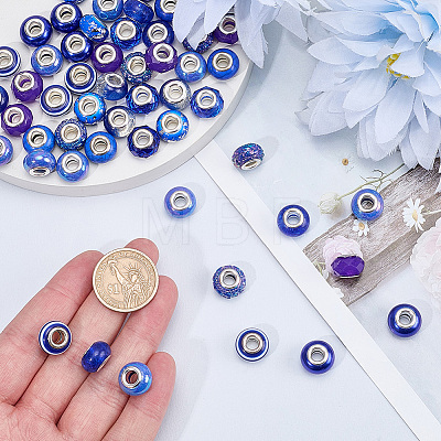 100Pcs 10 Styles Resin European Beads RPDL-SP0001-08-1