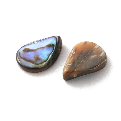Natural Paua Shell Beads SSHEL-F305-02A-1