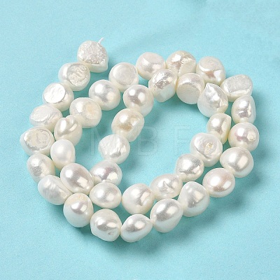 Natural Cultured Freshwater Pearl Beads Strands PEAR-E017-23-1