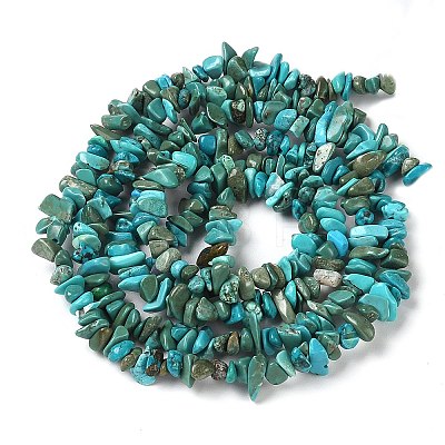 Natural Turquoise Chip Beads Strands X-G-D093-A01-1