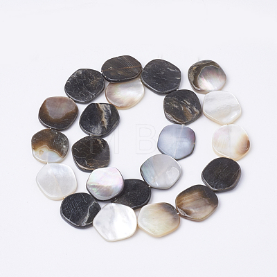 Black Lip Shell Beads Strands BSHE-T002-02-1