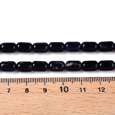 Natural Sodalite Beads Strands G-G980-37A-1