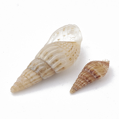 Sea Shell Beads SSHEL-S258-04-1