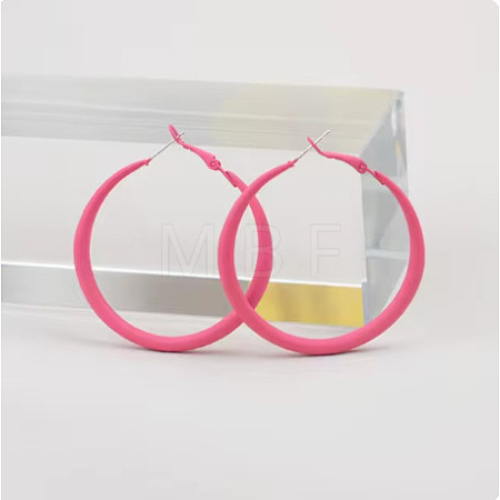 Spray Painted Alloy Hoop Earrings FS-WG43B6B-10-1