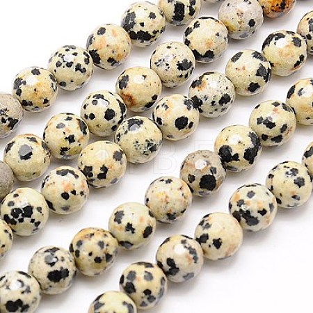 Natural Dalmation Jasper Beads Strands G-G542-8mm-07-1
