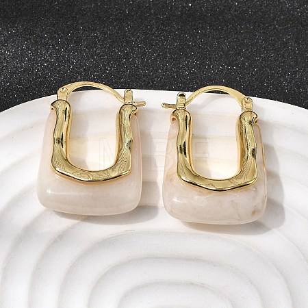 Brass Resin Hoop Earrings EJEW-P333-11B-G01-1