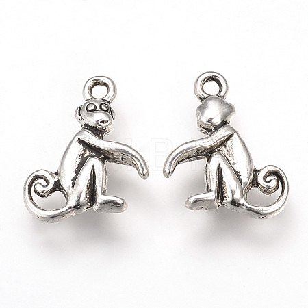 Tibetan Style Alloy Pendants LS-X-TIBEP-T002-43AS-RS-1