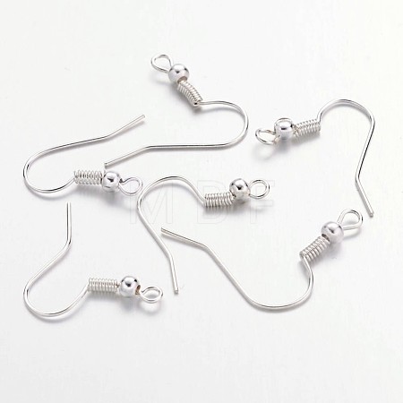 Iron Earring Hooks J07JW-S-1