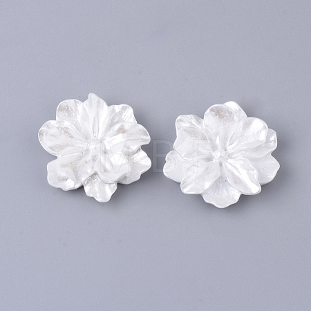 Resin Cabochons X-RESI-S364-46B-1